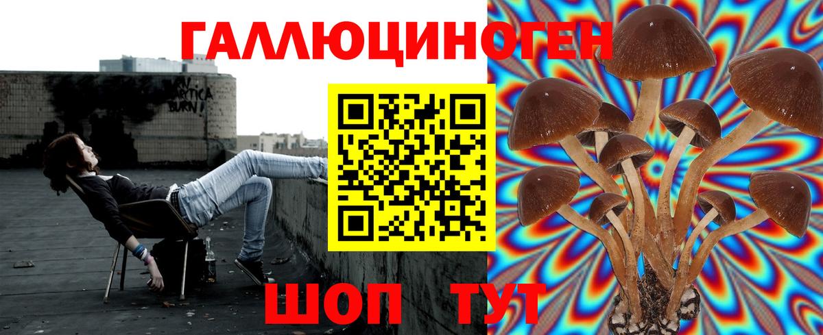 Псилоцибиновые грибы Cubensis Грязи